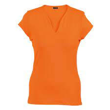 Ladies Venus T/Shirt Short Sleeve